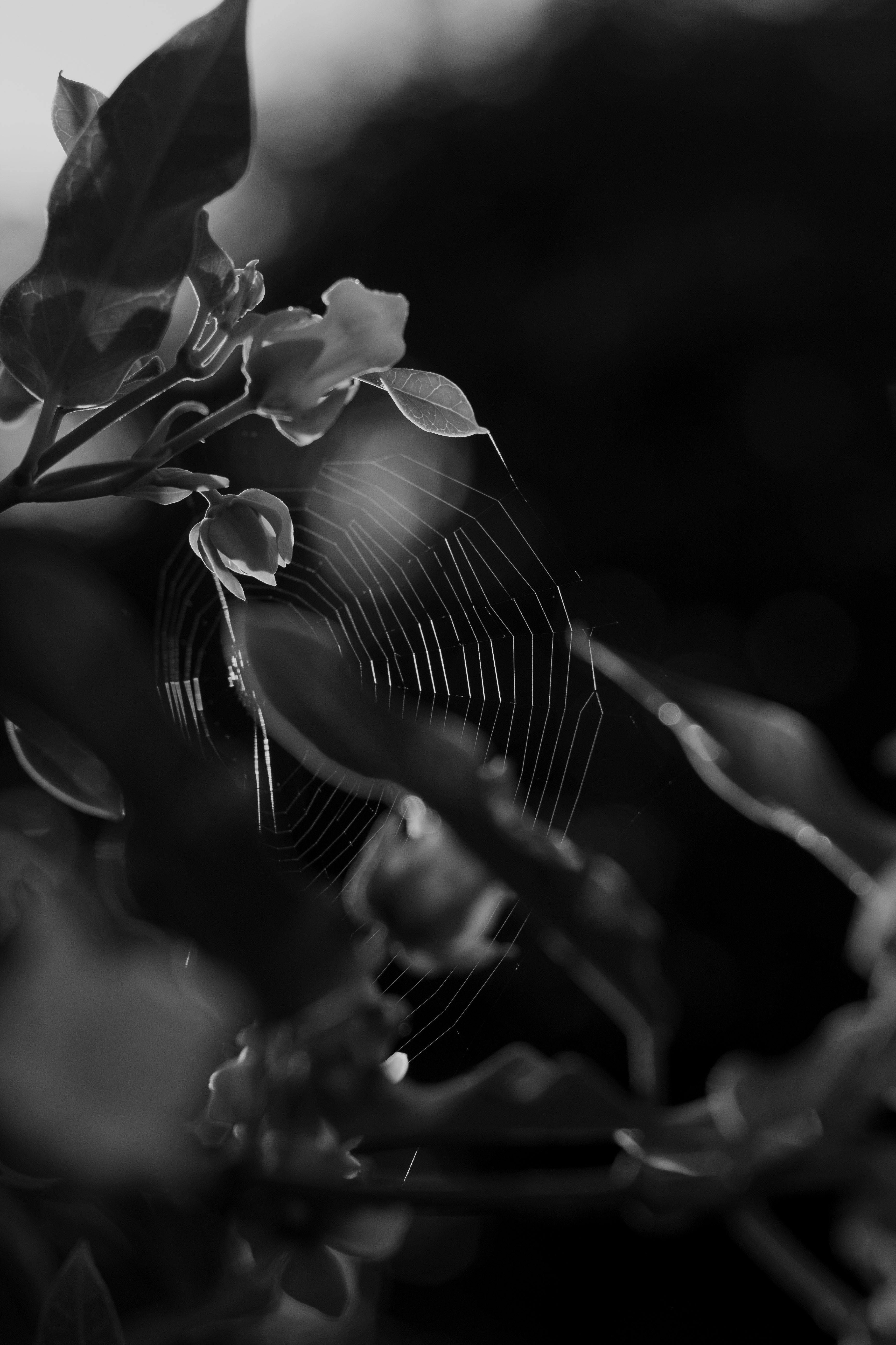 SEO ve dijital pazarlama görseli